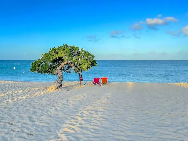 Aerial view of Aruba's west coast with white sand beaches and turquoise Caribbean water