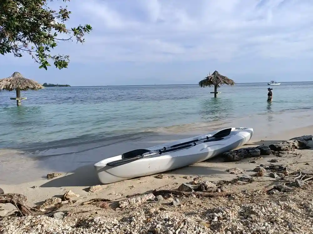 Sandy Chepes Beach with palm trees and calm water on the west side of Utila Town