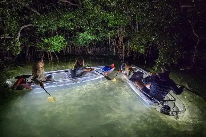 Clear kayak gliding through shallow water beside mangroves in Turks and Caicos