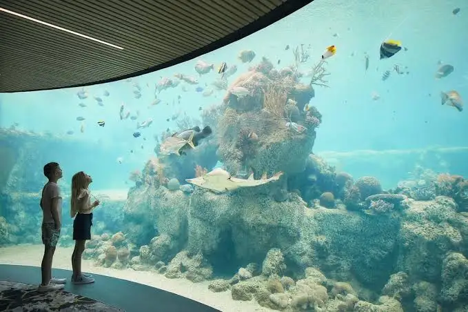 Underwater observatory tower at Coral World Ocean Park rising from the sea at Coki Point, St. Thomas