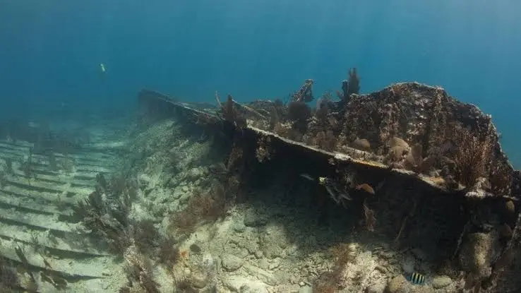 Snorkeler swimming over coral reef and scattered shipwreck debris at Devil's Backbone near Harbour Island