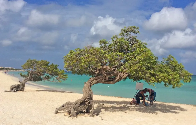 Wide white sand of Eagle Beach, Aruba, with calm turquoise water and palapa shade huts