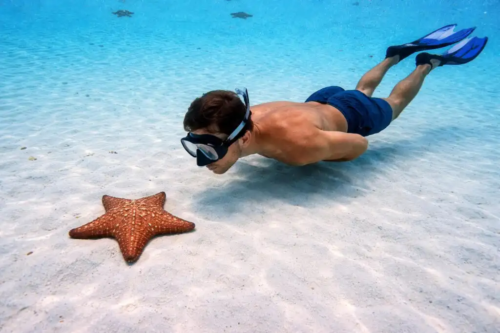Red cushion starfish on white sand in shallow turquoise water at El Cielo, Cozumel