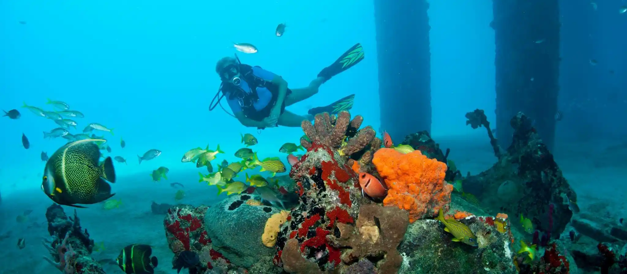 Diver swimming among coral-covered pilings of the Frederiksted Pier, St. Croix