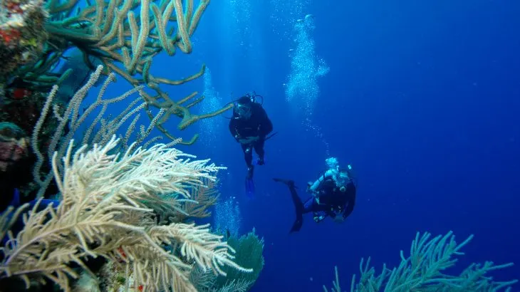 Scuba diver hovering beside the coral-covered drop-off of the Grand Turk Wall in deep blue water
