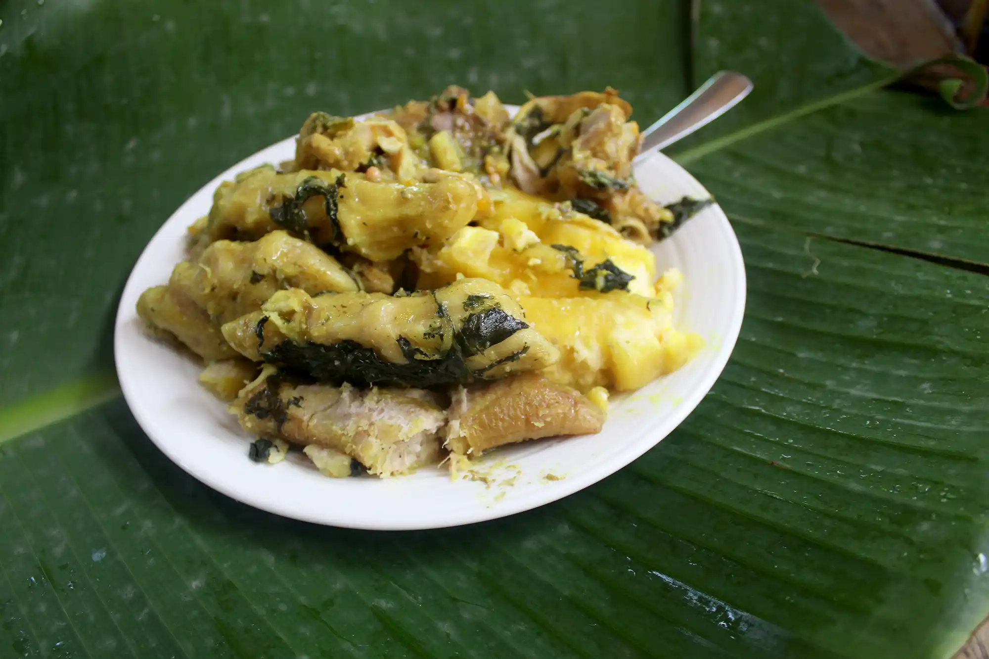 Pot of oil down, Grenada's national dish of breadfruit, callaloo, salted meat and coconut milk