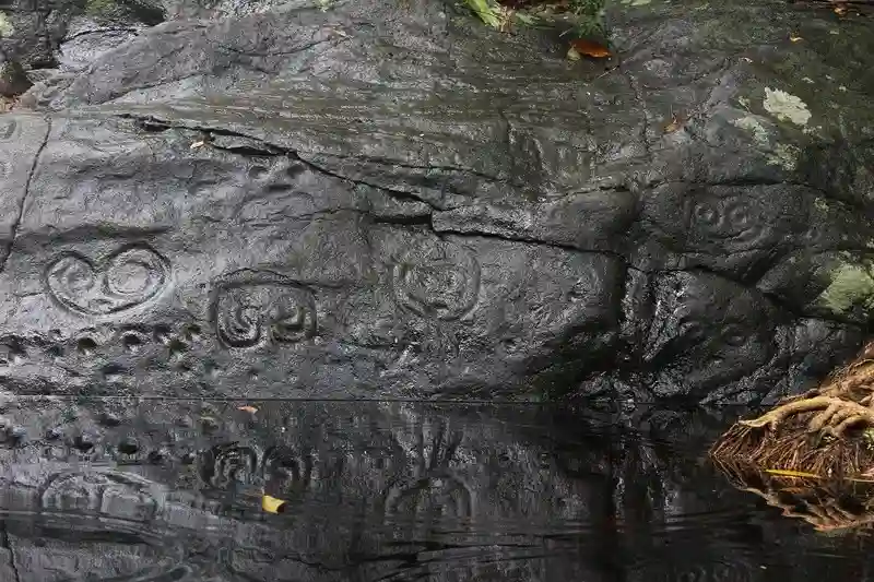 Ancient Taíno petroglyphs carved into rock beside a freshwater pool on the Reef Bay Trail, St. John