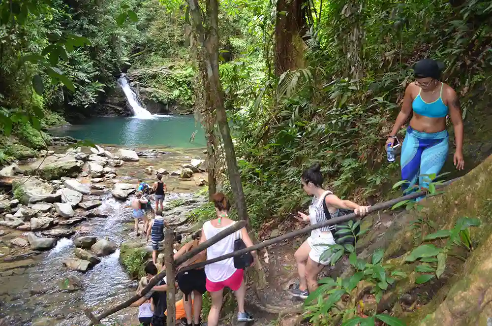 Waterfall pouring into a green swimming pool surrounded by rainforest at Rio Seco, Trinidad
