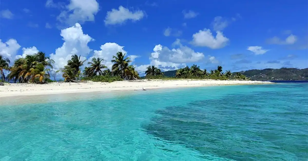 Tiny palm-covered Sandy Island surrounded by turquoise water off Carriacou, Grenada