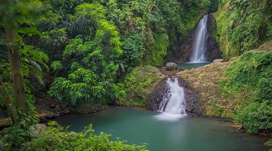 Waterfall cascading into a rock pool surrounded by rainforest at Seven Sisters Falls, Grenada