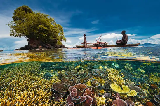 Scuba divers swimming along a coral reef wall with sponges and fish off Utila, Honduras